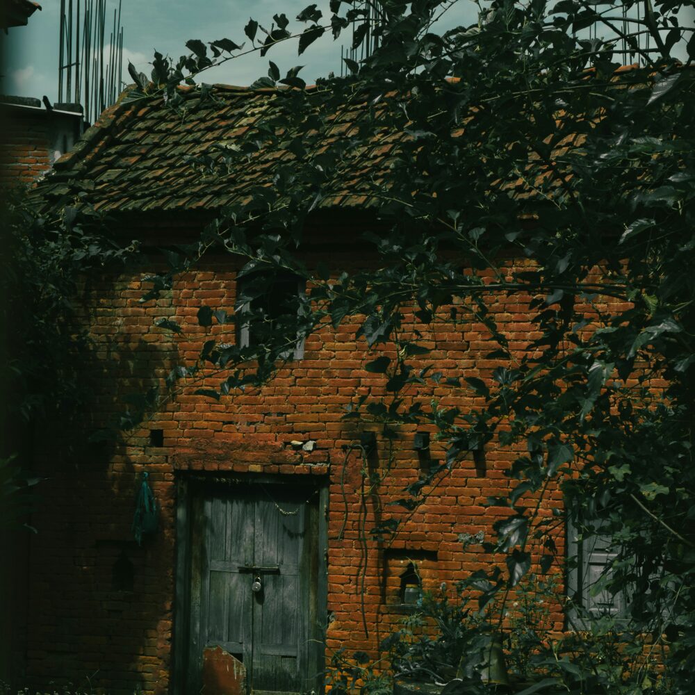 Photo by Sujab Banjara on Unsplash